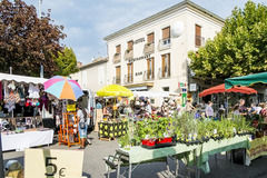 Bar à vendre à Laragne-Montéglin